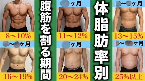 腹筋 割れ てる 男 割合